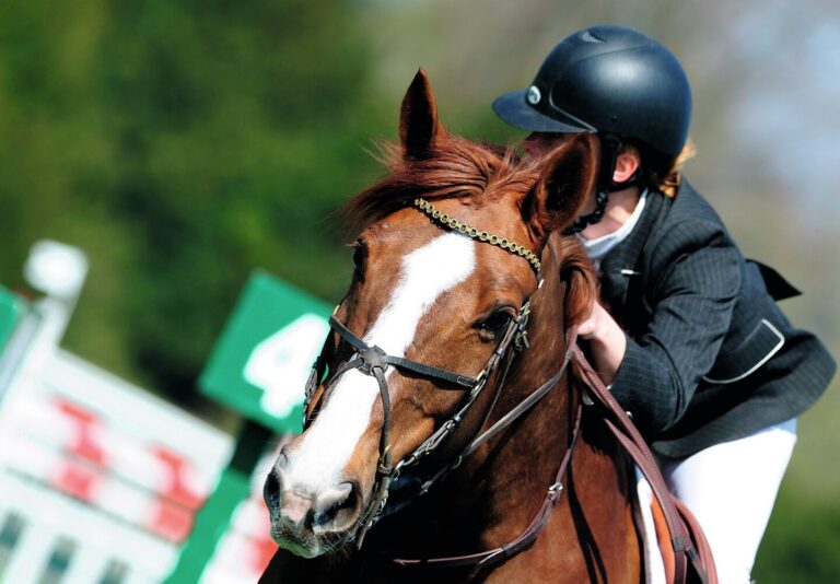 EN MARTINIQUE, le cheval fait son show