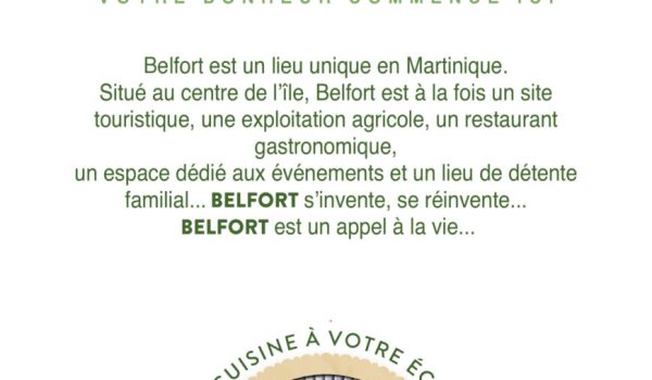 BELFORT 90X265.pdf