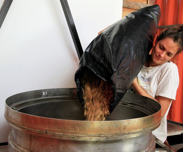 Claire Couturier et le bois de rose de Guyane